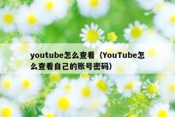 youtube怎么查看（YouTube怎么查看自己的账号密码）