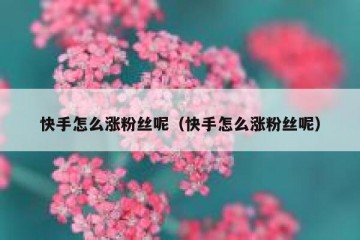 快手怎么涨粉丝呢（快手怎么涨粉丝呢）