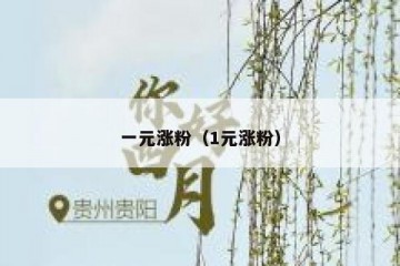 一元涨粉（1元涨粉）