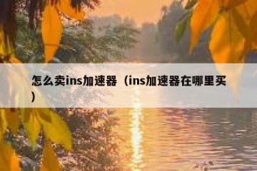 怎么卖ins加速器（ins加速器在哪里买）