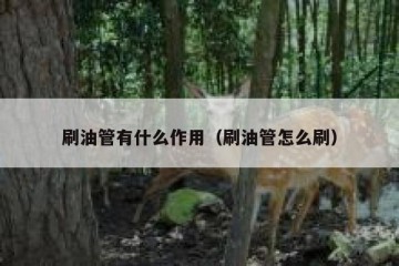 刷油管有什么作用（刷油管怎么刷）