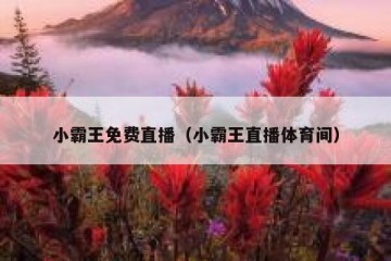 小霸王免费直播（小霸王直播体育间）