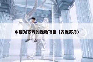 中国对苏丹的援助项目（支援苏丹）