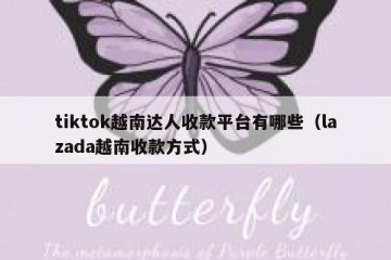 tiktok越南达人收款平台有哪些（lazada越南收款方式）