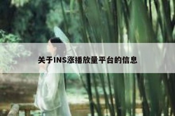 关于INS涨播放量平台的信息