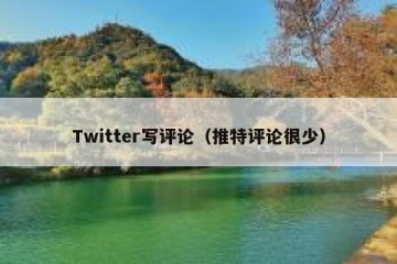 Twitter写评论（推特评论很少）