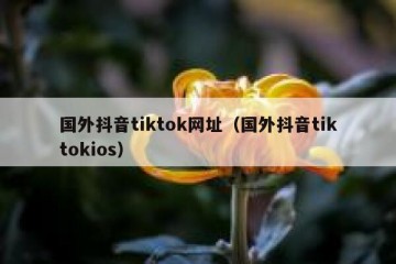 国外抖音tiktok网址（国外抖音tiktokios）