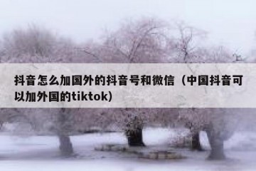 抖音怎么加国外的抖音号和微信（中国抖音可以加外国的tiktok）