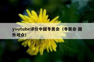 youtube评价中国冬奥会（冬奥会 国外观众）