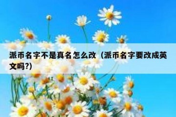 派币名字不是真名怎么改（派币名字要改成英文吗?）