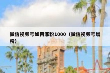 微信视频号如何涨粉1000（微信视频号增粉）