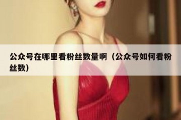 公众号在哪里看粉丝数量啊（公众号如何看粉丝数）
