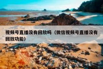 视频号直播没有回放吗（微信视频号直播没有回放功能）