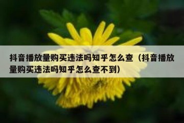 抖音播放量购买违法吗知乎怎么查（抖音播放量购买违法吗知乎怎么查不到）