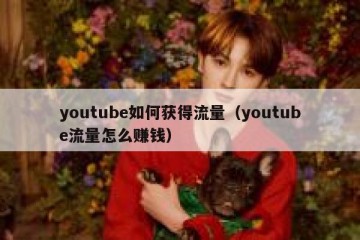 youtube如何获得流量（youtube流量怎么赚钱）