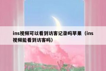 ins视频可以看到访客记录吗苹果（ins视频能看到访客吗）