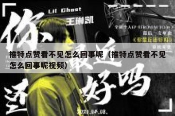 推特点赞看不见怎么回事呢（推特点赞看不见怎么回事呢视频）