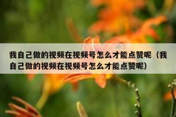 我自己做的视频在视频号怎么才能点赞呢（我自己做的视频在视频号怎么才能点赞呢）