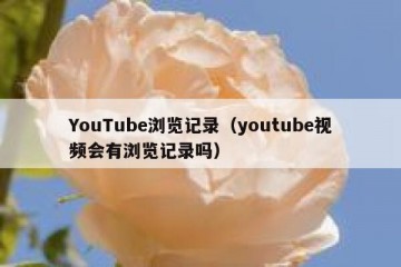 YouTube浏览记录（youtube视频会有浏览记录吗）