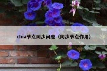 chia节点同步问题（同步节点作用）