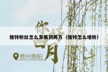 推特粉丝怎么发展到两万（推特怎么增粉）