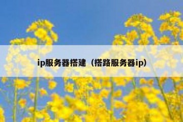 ip服务器搭建（搭路服务器ip）