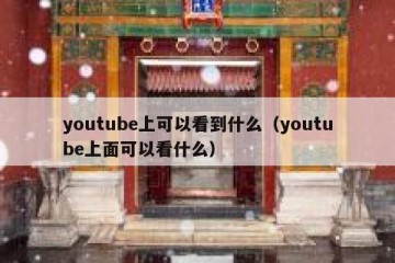 youtube上可以看到什么（youtube上面可以看什么）