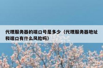 代理服务器的端口号是多少（代理服务器地址和端口有什么风险吗）