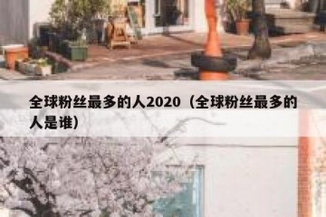 全球粉丝最多的人2020（全球粉丝最多的人是谁）