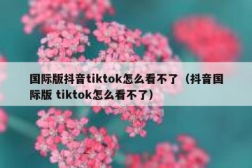 国际版抖音tiktok怎么看不了（抖音国际版 tiktok怎么看不了）
