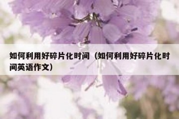 如何利用好碎片化时间（如何利用好碎片化时间英语作文）