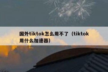 国外tiktok怎么用不了（tiktok用什么加速器）