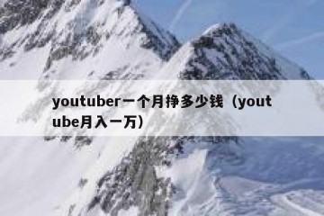 youtuber一个月挣多少钱（youtube月入一万）