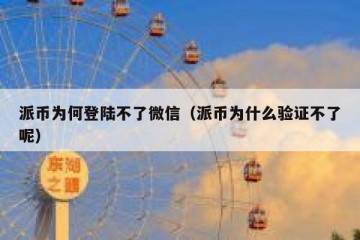 派币为何登陆不了微信（派币为什么验证不了呢）