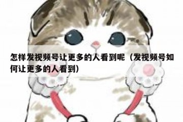 怎样发视频号让更多的人看到呢（发视频号如何让更多的人看到）