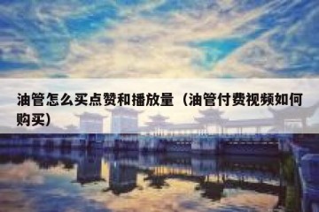 油管怎么买点赞和播放量（油管付费视频如何购买）