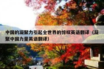 中国的凝聚力引起全世界的惊叹英语翻译（凝聚中国力量英语翻译）