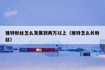 推特粉丝怎么发展到两万以上（推特怎么长粉丝）