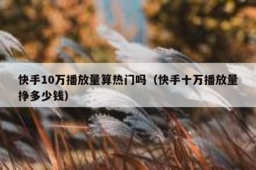 快手10万播放量算热门吗（快手十万播放量挣多少钱）
