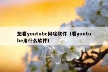 想看youtube用啥软件（看youtube用什么软件）
