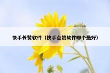 快手长赞软件（快手点赞软件哪个最好）