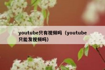 youtube只有视频吗（youtube只能发视频吗）