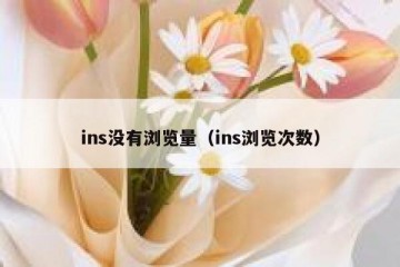 ins没有浏览量（ins浏览次数）