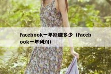 facebook一年能赚多少（facebook一年利润）