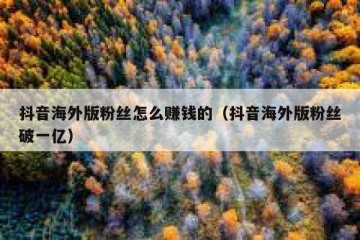 抖音海外版粉丝怎么赚钱的（抖音海外版粉丝破一亿）