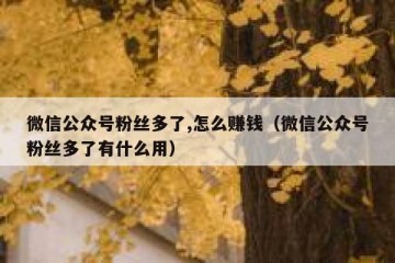 微信公众号粉丝多了,怎么赚钱（微信公众号粉丝多了有什么用）