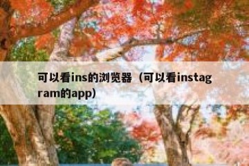 可以看ins的浏览器（可以看instagram的app）