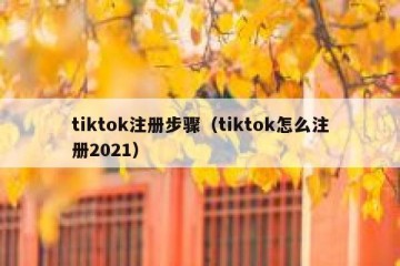 tiktok注册步骤（tiktok怎么注册2021）