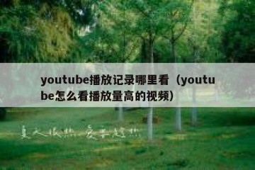 youtube播放记录哪里看（youtube怎么看播放量高的视频）