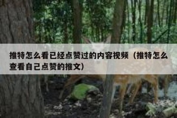 推特怎么看已经点赞过的内容视频（推特怎么查看自己点赞的推文）